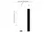 Anti FOXA1 Antibody, clone FOXA1/1512 (PrecisionAb Monoclonal Antibody) thumbnail image 2