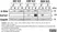 Anti Human GAPDH Antibody, clone 4G5 thumbnail image 7