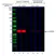 Anti GAPDH Antibody, clone AbD22549_hIgG1 thumbnail image 1