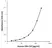 Anti Human GM-CSF Antibody, clone E04-5B11 thumbnail image 1