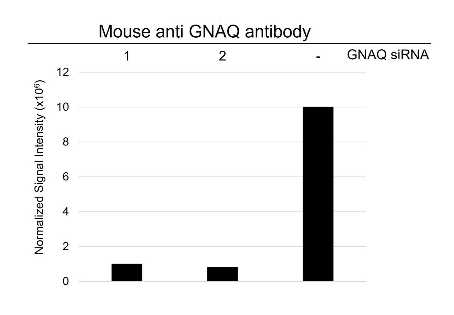 Anti Gnaq Antibody, clone CD02/1H5 (PrecisionAb Monoclonal Antibody) gallery image 3