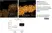 Anti hCG (Beta 2 Epitope) Antibody, clone INN-hCG-22 thumbnail image 1