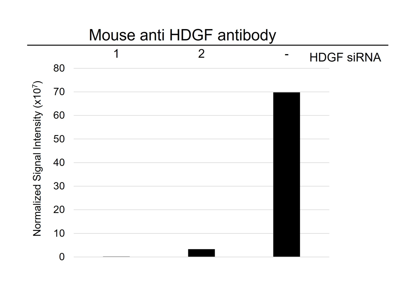Anti HDGF Antibody, clone AB03/3H6 (PrecisionAb Monoclonal Antibody) gallery image 3