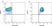Anti Human HER2/neu Antibody, clone ICR55 thumbnail image 1