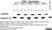 Anti Human Histone H1 Antibody, clone AE-4 thumbnail image 1