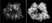 Anti Human Histone H3.1 (pSer28) Antibody, clone 5D10D4 thumbnail image 1