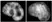Anti Human Histone H3 (Ac9) Antibody, clone 2G1F9 thumbnail image 1