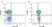 Anti Human HLA A2 Antibody, clone BB7.2 thumbnail image 1
