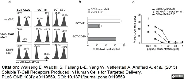 Anti Human HLA A2 Antibody, clone BB7.2 gallery image 2