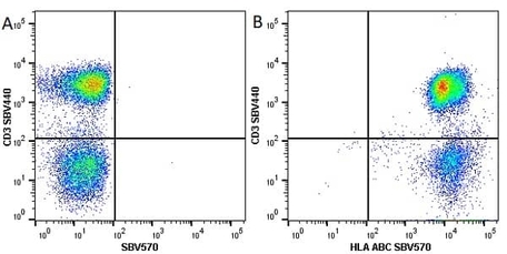 Anti Human HLA ABC Antibody, clone W6/32 | Bio-Rad