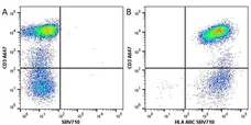 Anti Human HLA ABC Antibody, clone W6/32 gallery image 11
