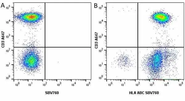 Anti Human HLA ABC Antibody, clone W6/32 gallery image 15