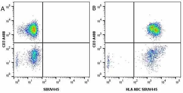 Anti Human HLA ABC Antibody, clone W6/32 gallery image 17