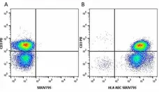 Anti Human HLA ABC Antibody, clone W6/32 gallery image 19