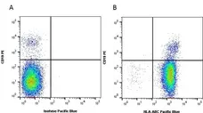 Anti Human HLA ABC Antibody, clone W6/32 gallery image 2