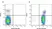 Anti Human HLA ABC Antibody, clone W6/32 thumbnail image 2