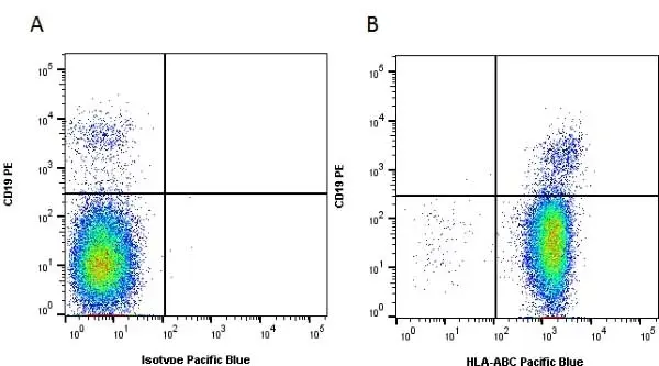 Anti Human HLA ABC Antibody, clone W6/32 gallery image 2