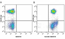Anti Human HLA ABC Antibody, clone W6/32 gallery image 20