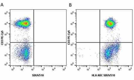 Anti Human HLA ABC Antibody, clone W6/32 | Bio-Rad