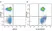 Anti Human HLA ABC Antibody, clone W6/32 thumbnail image 20