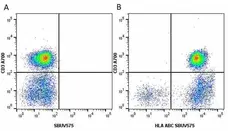 Anti Human HLA ABC Antibody, clone W6/32 gallery image 21