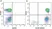 Anti Human HLA ABC Antibody, clone W6/32 thumbnail image 22