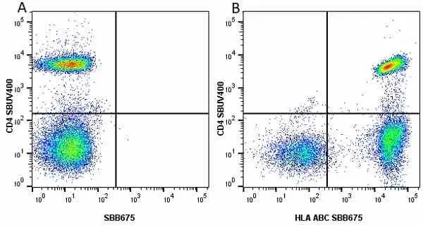 Anti Human HLA ABC Antibody, clone W6/32 gallery image 26