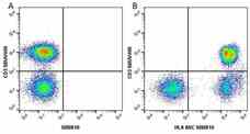 Anti Human HLA ABC Antibody, clone W6/32 | Bio-Rad