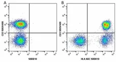 Anti Human HLA ABC Antibody, clone W6/32 gallery image 28