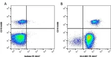 Anti Human HLA ABC Antibody, clone W6/32 gallery image 3