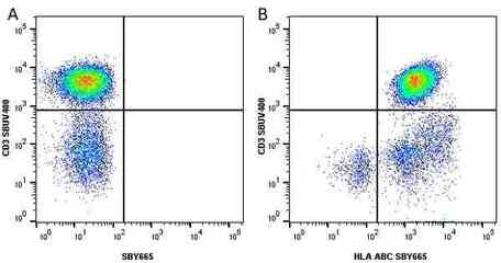 Anti Human HLA ABC Antibody, clone W6/32 | Bio-Rad