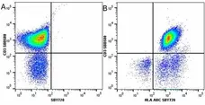 Anti Human HLA ABC Antibody, clone W6/32 gallery image 33