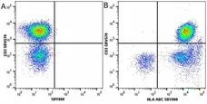 Anti Human HLA ABC Antibody, clone W6/32 gallery image 34