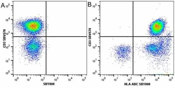 Anti Human HLA ABC Antibody, clone W6/32 gallery image 34