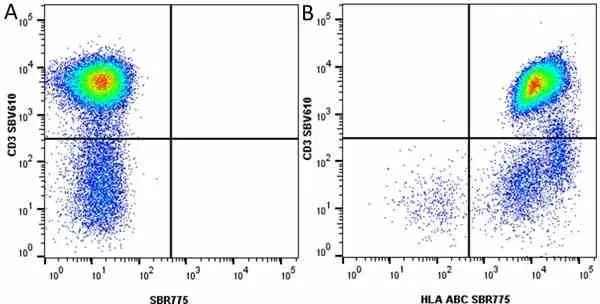 Anti Human HLA ABC Antibody, clone W6/32 gallery image 35