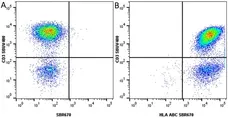 Anti Human HLA ABC Antibody, clone W6/32 gallery image 38