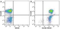 Anti Human HLA ABC Antibody, clone W6/32 gallery image 8