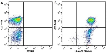 Anti Human HLA ABC Antibody, clone W6/32 | Bio-Rad