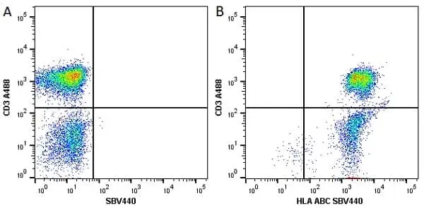 Anti Human HLA ABC Antibody, clone W6/32 gallery image 8