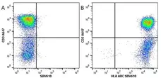Anti Human HLA ABC Antibody, clone W6/32 gallery image 9