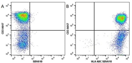 Anti Human HLA ABC Antibody, clone W6/32 | Bio-Rad