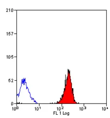 Anti Human HLA ABC Antibody, clone YTH862.2 gallery image 1