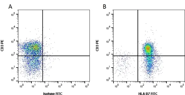 Anti Human HLA B7 Antibody, clone BB7.1 gallery image 2