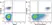 Anti Human HLA DP DQ DR Antibody, clone WR18 thumbnail image 11
