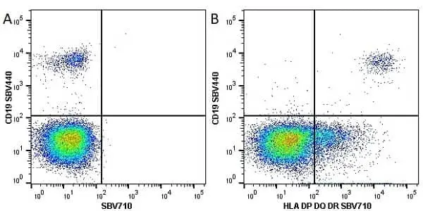 Anti Human HLA DP DQ DR Antibody, clone WR18 gallery image 13