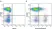 Anti Human HLA DP DQ DR Antibody, clone WR18 thumbnail image 15