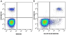 Anti Human HLA DP DQ DR Antibody, clone WR18 gallery image 16