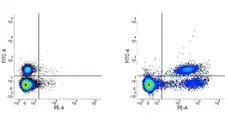 Anti Human HLA DP DQ DR Antibody, clone WR18 gallery image 2