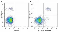 Anti Human HLA DP DQ DR Antibody, clone WR18 gallery image 21
