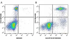 Anti Human HLA DP DQ DR Antibody, clone WR18 gallery image 23